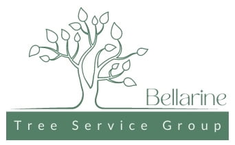 # 1 Tree Service in Bellarine
